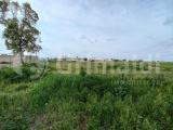 Particella, UGENTO, 43.000 €, 10570,00 mq