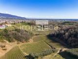 Particella, VITTORIO VENETO, 1.490.000 €, 30900,00 mq