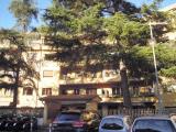 Affitto, Appartamento, ROMA, Trionfale, 500 €, 18,00 mq