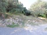 Particella, VERONA, Quinto, 49.000 €, 3364,00 mq