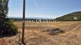 Particella, ALGHERO, 130.000 €, 45000,00 mq