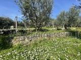 Particella, VERONA, 39.000 €, 921,00 mq