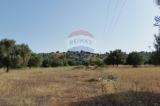 Particella, NOTO, 64.000 €, 12500,00 mq
