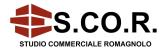 Particella, RAVENNA, San Alberto, 50.000 €, 700,00 mq