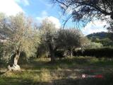 Casa, MESSINA, Rodia, 39.000 €, 40,00 mq