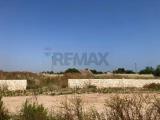 Particella, BARI, Stanic, 400.000 €, 10000,00 mq