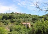 Particella, TERNI, Larviano, 16.000 €, 9500,00 mq
