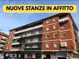 Affitto, Appartamento, BRESCIA, 500 €, 20,00 mq