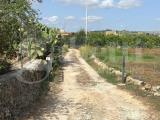 Particella, NOTO, Falconara, 60.000 €, 7500,00 mq