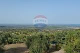 Particella, NOTO, 98.000 €, 21400,00 mq