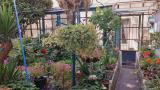Casa, FIRENZE, Cintoia, 620.000 €, 160,00 mq