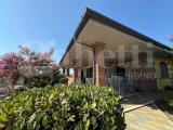Casa, NETTUNO, 350.000 €, 336,00 mq