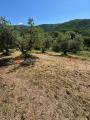 Particella, PISTOIA, Saturnana, 13.000 €, 2600,00 mq