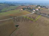 Particella, POLVERIGI, 79.000 €, 1600,00 mq