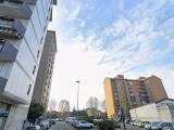 Affitto, Appartamento, CINISELLO BALSAMO, 700 €, 35,00 mq