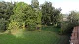 Particella, GROSSETO, 120.000 €, 30000,00 mq