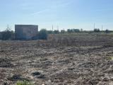 Particella, NOICATTARO, 180.000 €, 8035,00 mq
