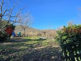 Appartamento, AREZZO, Santa Firmina, 90.000 €, 73,00 mq