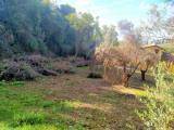 Particella, FOLIGNO, 80.000 €, 1575,00 mq