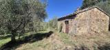 Casa, CIVITELLA PAGANICO, 25.000 €, 47,00 mq