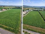 Particella, OSIMO, 745.000 €, 12912,00 mq