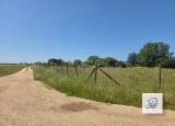 Particella, NETTUNO, 40.000 €, 4100,00 mq