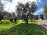Particella, VIESTE, 38.000 €, 3500,00 mq