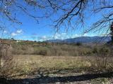 Particella, COLLI A VOLTURNO, 75.000 €, 15420,00 mq