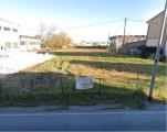 Particella, CEREA, 25.000 €, 2000,00 mq