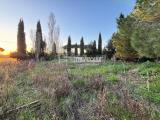 Particella, TARQUINIA, 6.500 €, 1100,00 mq