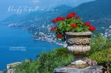 Casa, CAMOGLI, <i>A richiesta</i>, 312,00 mq