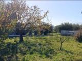 Particella, CEPAGATTI, 55.000 €, 1100,00 mq