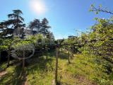 Particella, BRESCIA, 180.000 €, 500,00 mq