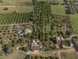 Particella, NOTO, 65.000 €, 4585,00 mq