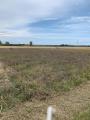 Particella, RAVENNA, Punta Marina Terme, 15.000 €, 550,00 mq
