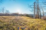 Particella, MURAZZANO, 20.000 €, 4604,00 mq