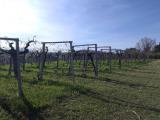 Particella, GIULIANOVA, 275.000 €, 50000,00 mq