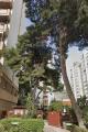 Affitto, Appartamento, PALERMO, Notarbartolo, 650 €, 88,00 mq