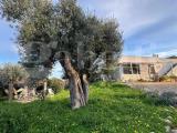 Casa, POLIGNANO A MARE, 350.000 €, 90,00 mq