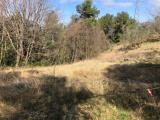 Particella, TERNI, 13.000 €, 5600,00 mq