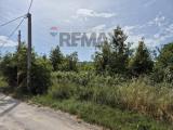 Particella, PAGLIETA, 70.000 €, 1571,00 mq