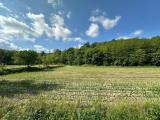 Particella, SIRONE, 21.000 €, 2091,00 mq