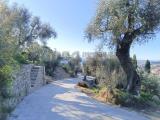 Particella, IMPERIA, 270.000 €, 110,00 mq