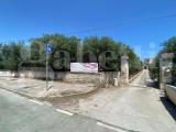 Particella, TRANI, 75.000 €, 900,00 mq