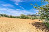 Particella, CIVITANOVA MARCHE, 80.000 €, 30000,00 mq