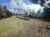 Particella, FORMELLO, 249.000 €, 5360,00 mq