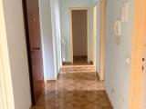 Affitto, Appartamento, CREMONA, 500 €, 61,00 mq