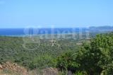 Particella, POSADA, 549.000 €, 57746,00 mq