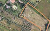 Particella, LANUVIO, 85.000 €, 8300,00 mq