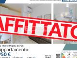 Affitto, Appartamento, MILANO, Santa Giulia, 950 €, 46,00 mq